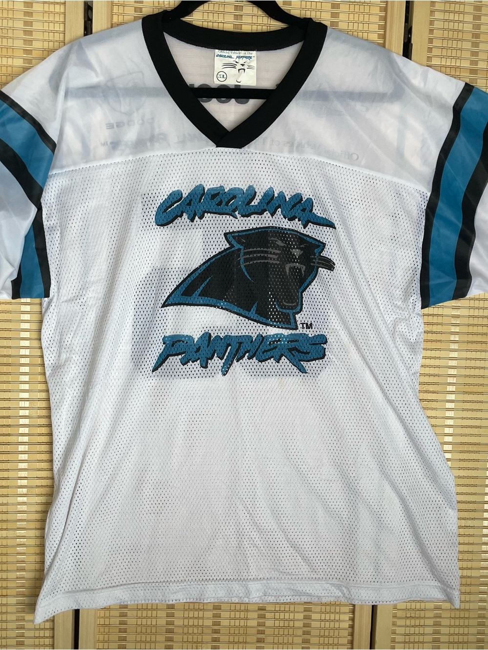 Carolina Panthers White & Teal Mesh Jersey Top